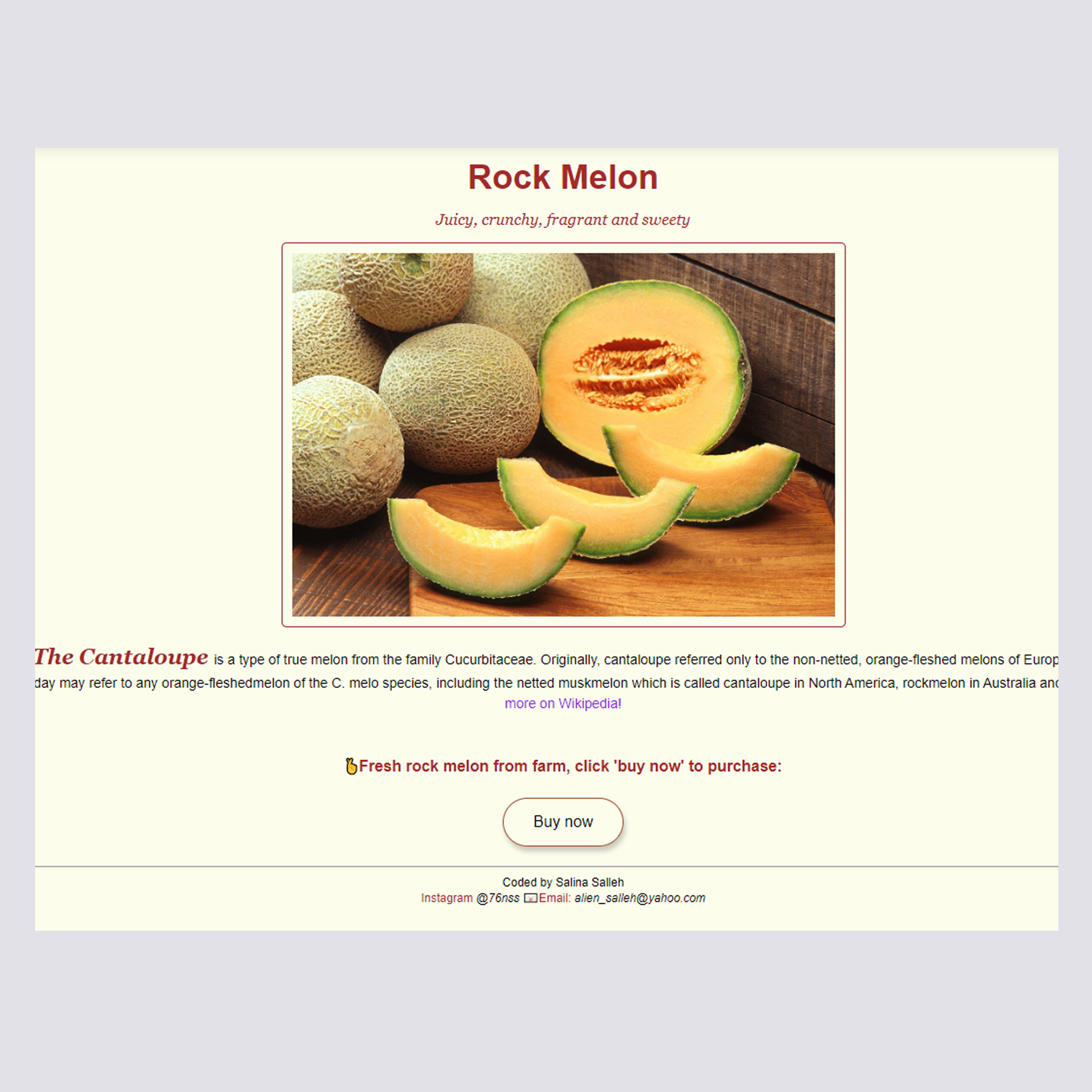 rockmelon project image preview 